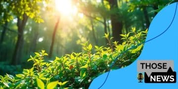 Green bonds market expansion: unlocking new investment opportunities