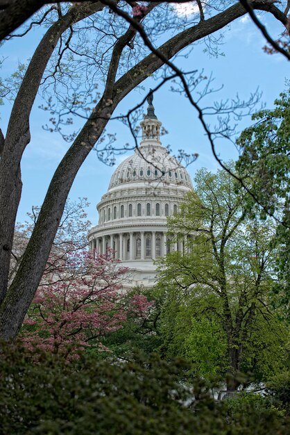 US Foreign Policy in 2025: Challenges and Opportunities