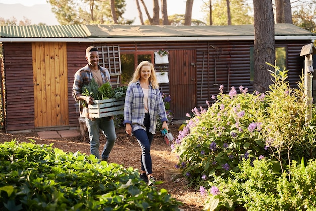 A sunny outdoor scene of a community garden with raised beds, tools neatly stored in a small shed. People are working in the garden, planting vegetables and flowers.