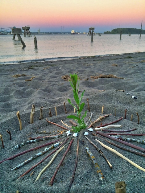 A coastal community implementing a green infrastructure project, such as restoring wetlands or planting mangroves, to protect against sea-level rise and storm surges, showcasing nature-based solutions for climate adaptation. The image should convey optimism and community involvement.