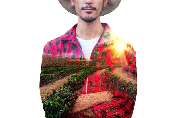 A split image showing two contrasting scenes: On one side, a farmer inspecting a healthy cornfield under a sunny sky; on the other side, a family struggling to pay for groceries at a supermarket checkout. The image visually represents the link between agricultural policies and consumer affordability.
