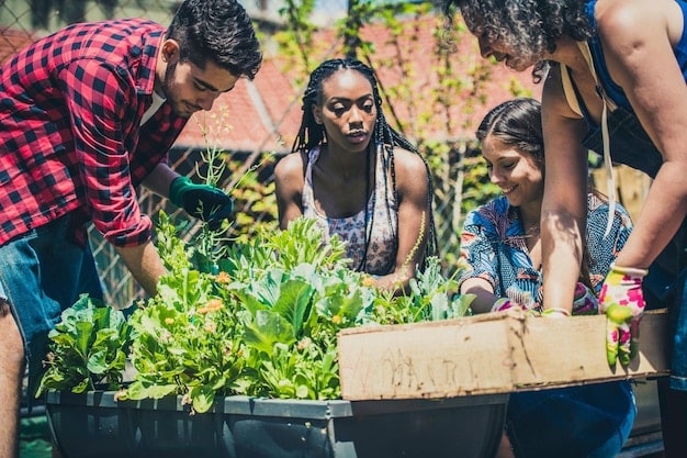 A diverse group of volunteers working together in a community garden, planting vegetables and tending to the plants. The image highlights the collaborative efforts promoted by the New Legislation Alert: How the Community Partnership Act of 2025 Will Reshape Local Initiatives.
