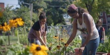 Avoid Grant Rejection: The 3 Biggest Mistakes of Community Action Projects - Cover Image