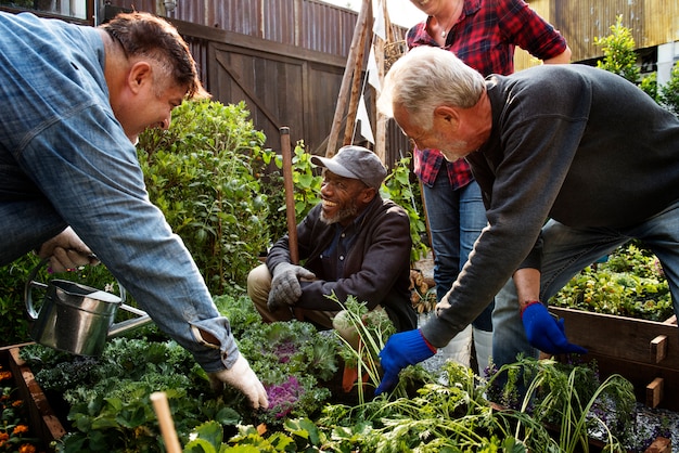 A group of volunteers working together on a community garden project, symbolizing collective effort and grassroots action. The environment is bright and positive, with lush greenery and smiling faces. This visual representation underscores the practical aspects of Advocacy and Policy Change: Using Your Community Action Project to Influence Legislation and Create Lasting Impact.