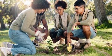 Measuring Social Return on Investment: How to Demonstrate Your Project's Value - Cover Image