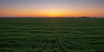 Sunrise over a diverse farm field, symbolizing the future of U.S. agriculture.